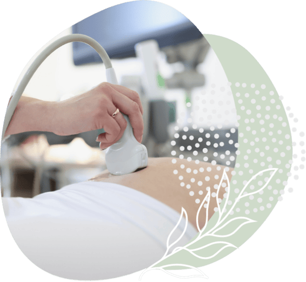 free-ultrasounds